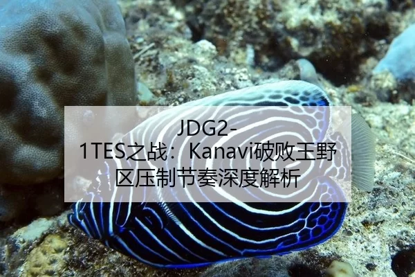 JDG2-1TES之战：Kanavi破败王野区压制节奏深度解析